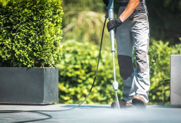 Best Driveway Pressure Washing  in Camilla, GA