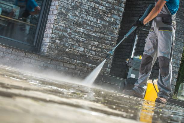 Best Roof Washing  in Camilla, GA